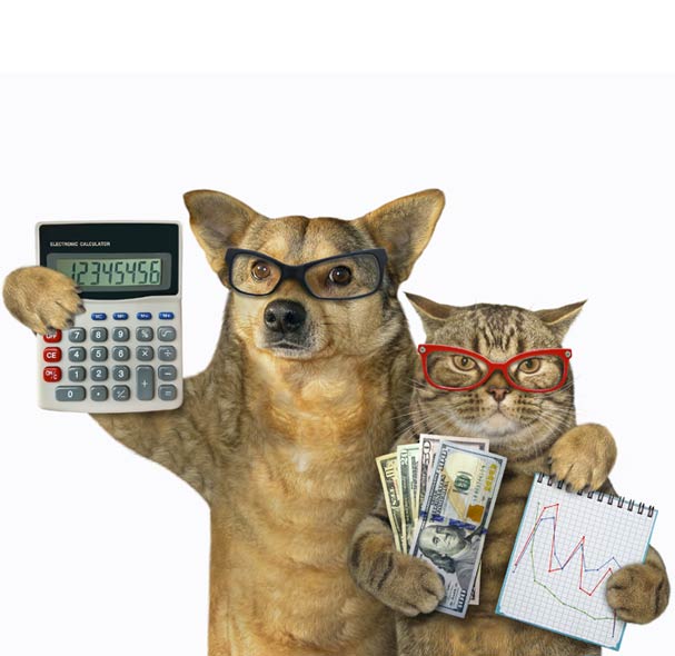Expense Reduction with cat and dog holding money, calculator, and business charts